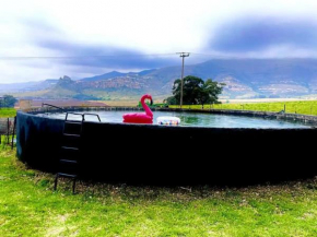 Boschhoek, Eclectic Farm Stay